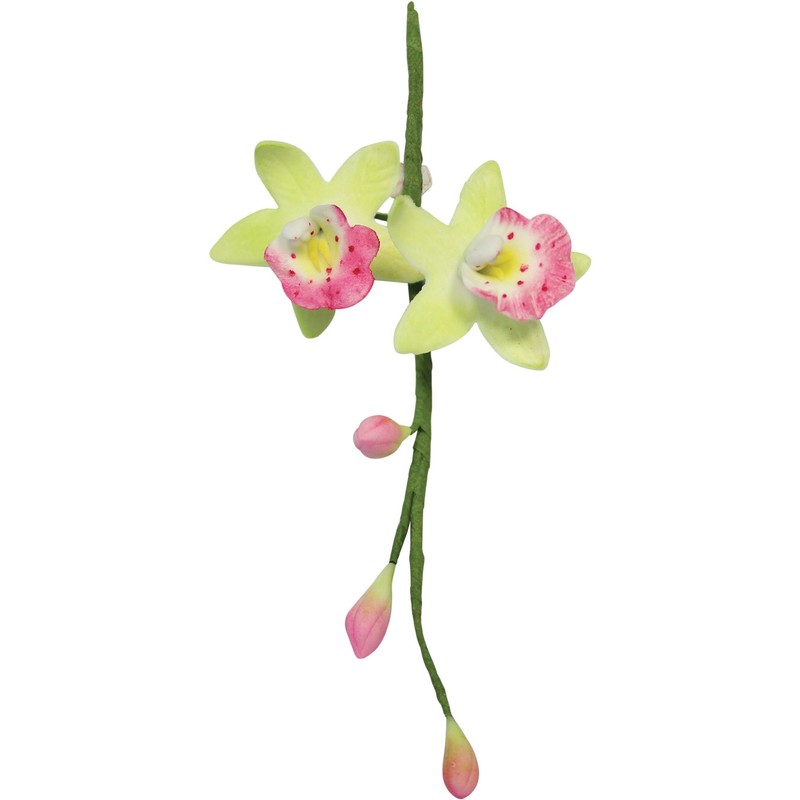PME Stainless Steel Cymbidium Orchid Petal Cutters, Small Size, Set
