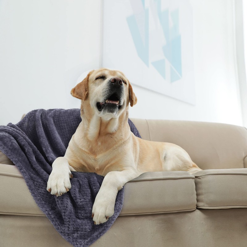 sourcing map Flannel Fleece Bed Blankets, Soft Warm Microfiber Blanket,