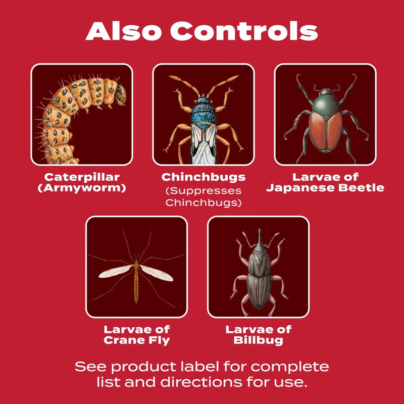 Scotts GrubEx1 Season Long Grub Killer, Protects Lawns Up to