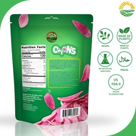 Terraland Onions Crispy Chips - Sea salt, Crispy & Crunch, Vegan, Snack 1.5oz Bag - Pack of 2