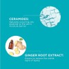 Curél Anti-Wrinkle Hydrating Serum for Dry, Sensitive Skin