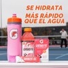 Gatorlyte Powder Variety Pack