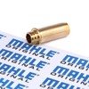 Mahle Original 029 FX 31168 000 Valve Guide