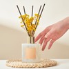 Cocorrína Reed Diffuser - Warm Vanilla Scented Diffuser with 8