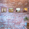 TOFOREVO 5x5 Picture Frames Set of 6 Rustic Wood Grain