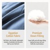 DREAMHOUR Pinch Pleat Goose Down Comforter King Size 106x 90，All