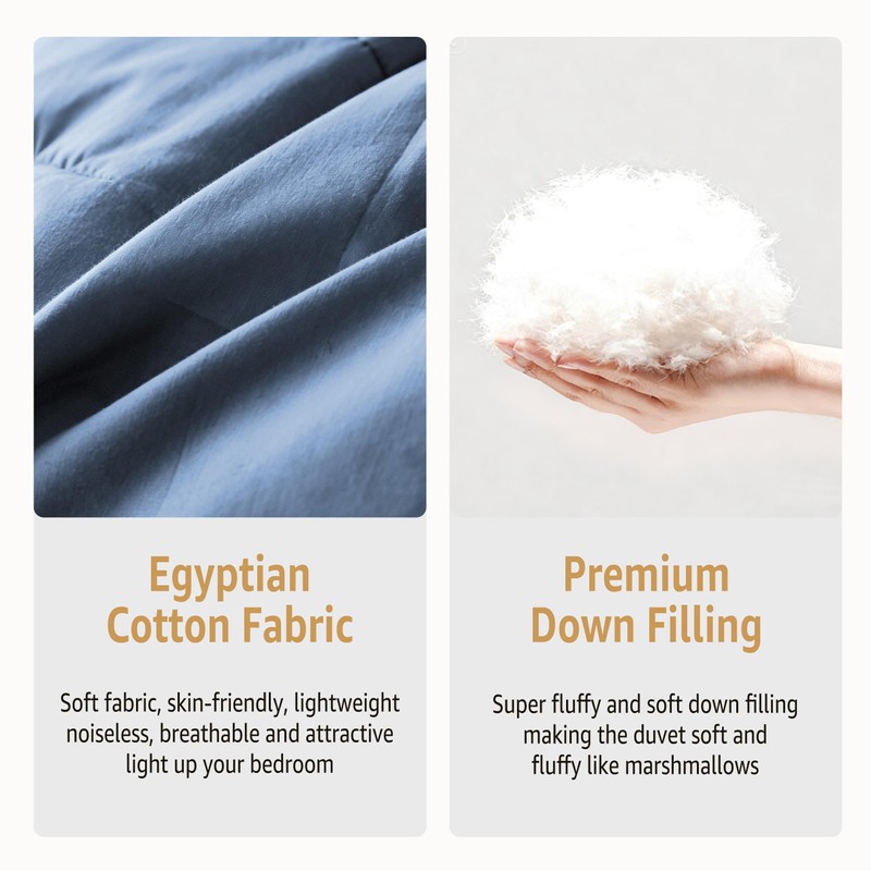 DREAMHOUR Pinch Pleat Goose Down Comforter King Size 106x 90，All
