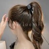 Herbeluemily Hair Claw Clip, Rhinestone Bijou Pony Holder, Hair Clip,