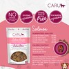 Caru - Soft n’ Tasty Baked Bites - Salmon Bites