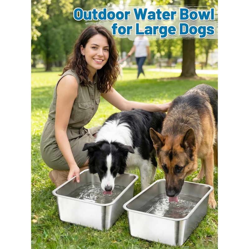 Apipi 2 Pack 3 Gallon Extra Large Food Safe Stainless