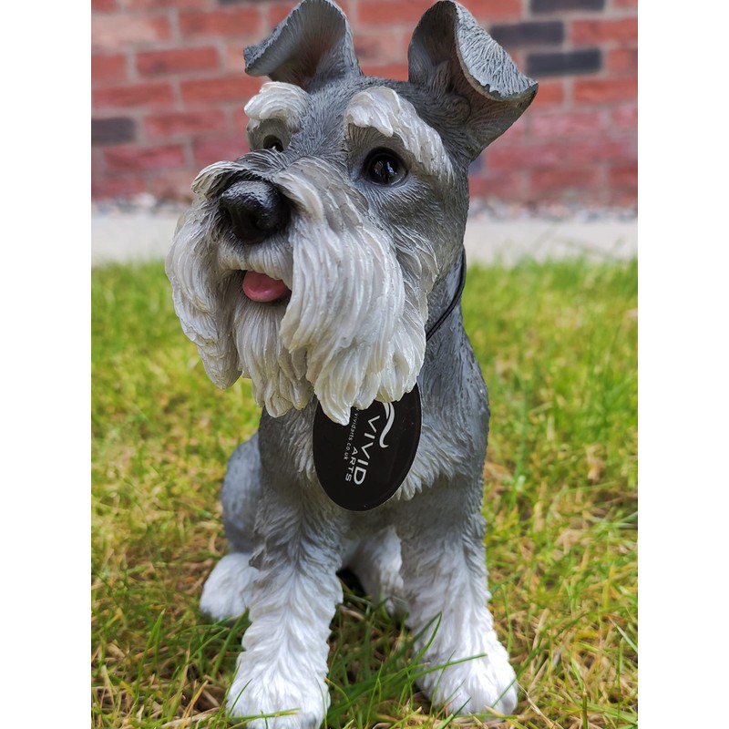 Vivid Arts (Miniature Schnauzer Sitting