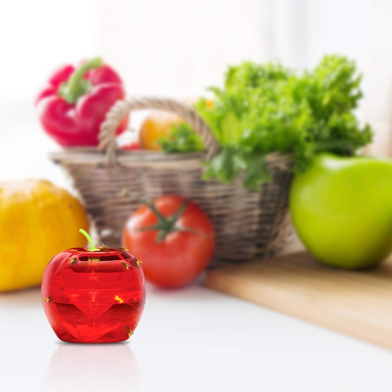 Fruit Fly Traps for Indoors by Raid | 2 Lures