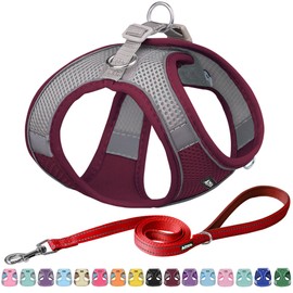 AIITLE Step in Dog Harness and Leash Set - Christmas No Pull Escape Proof Vest Harnesses with Soft Mesh and Reflective Bands, Adjustable Pet Outdoor Harnesses for Small and Medium Dogs Burgundy M