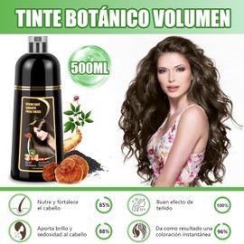 Shampoo para Canas, Hair Dye Shampoo 3 en 1 de Funciones de cuidado cabello, Shampoo con Tinte para Cubrir Canas con Cabello Extractos Jengibre Ginseng para Hombre y Mujer, 500ml (Castaño Negro)