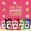 Wiley Wallaby Mini Licorice Bites 0.5 Ounce Classic Gourmet Soft