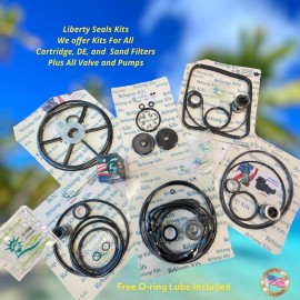 Liberty Pool Products FITS  65477  FOR JACUZZI® DE EARTHWORKS FILTER  BY LIBERTY SEALS + LUBE