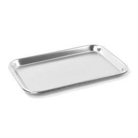 Teqler 134801 Stainless Steel Tray, 28.5 cm x 19 cm x 1.8 cm