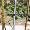 One Stop Outdoor USA Made - Universal Tree Ties 32"