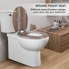 Angol Shiold Round Toilet Seat Molded Wood Toilet Seat with