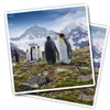 Vinyl Square Stickers (Set of 2) 10cm - South Georgia