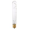Satco S3222 130V Intermediate Base 25-Watt T6.5 Light Bulb, Clear