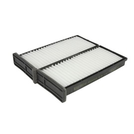Blue Print ADC42502 Cabin Filter Kit