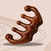 Hoi scalp gua sha scalp massage head massage Scalp massage tool 2ea