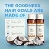 SoapBox Soaps Shampoo, Coconut Oil with Shea Butter, 3 Count