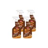 Whink Rust Stain Remover , 24.00 Fl Oz (Pack of