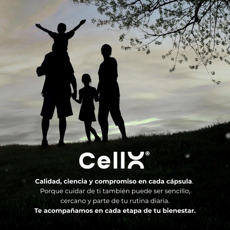 Cellx Tmg B6 B12 Metilfolato Nac