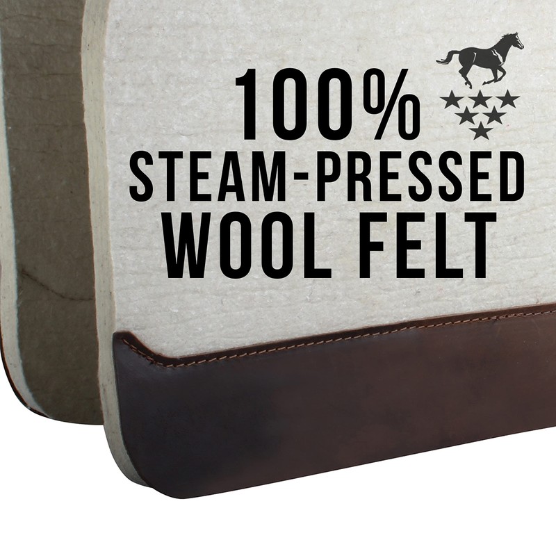 PROFESSIONAL'S CHOICE 100% Steam-Pressed Wool Felt Saddle Pad | Western