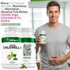 Bioherb Alga Chlorella Orgánica 100 Pura Cápsulas 500 Superfood Natural