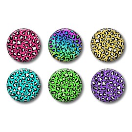 Rainbow Leopard Locker Magnets - Cute Locker Magnets for Teens - Fun School Supplies - Whiteboard Office or Fridge - Funny Magnets
