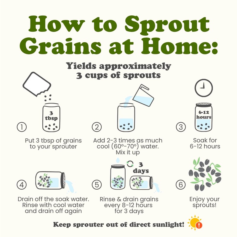 Food to Live Organic Soft White Wheat Berries, 1.5 Pounds