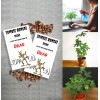 CZ Grain Zombie Bonsai Seed Packets (2 Pack) Sensory Bonsai