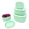 Anatole Silicone Food Storage Containers 4 Pcs Lunch Bento Box