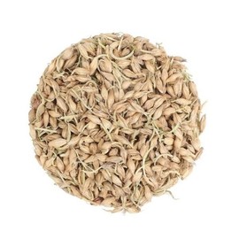 Fresh Herbs Domestic Malt 600g Roasted Malted Barley - 1. Malt 600g / 신선약초 국산 맥아 600g 볶은 맥아 보리 - 1.맥아 600g