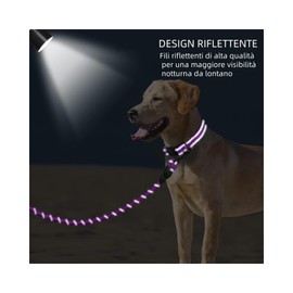 KOMUNJ Reflective Dog Collar and Leash Set Adjustable Collar Durable Nylon Leash for Medium Large Dogs (Purple, L)