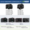 Wasabi Power Battery (2-Pack) and Charger for Leica BP-DC12