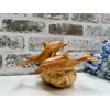 MAISONICA Dolphin Family Ornament Sculpture - Hand Carved Wooden Art