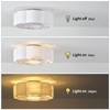 Phrylix 20" Boho Bladeless Ceiling Fans with Lights, Low Profile