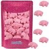 Fruidles Gummy Pink Piglets, Pig Animal Gummy Candy, Sold By
