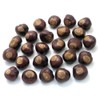 Buckeye Nuts - Quarter Size - Twenty-Five Nuts