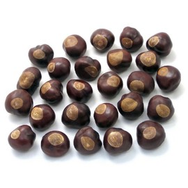 Buckeye Nuts - Quarter Size - Twenty-Five Nuts