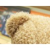 TROYSINC Teddy Bear Soft Fur Teddy Bear with Hood Paw