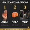 Creatine Monohydrate Gummies 5000mg - BCAA, L-Taurine & B12 -