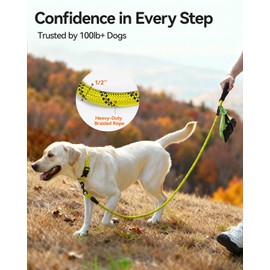Joytale Dog Leash for Large Dogs, Heavy Duty Nylon Leashes with Comfortable Padded Handle and Highly Reflective Threads, Ideal for Walking and Training, Yellow, 5'×1/2''