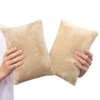 1 MIDDLE ONE 2 Pack Small Pillow, Memory Foam Mini