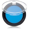 COVERGIRL Exhibitionist Velvet Mono Eye Shadow, Rise Above