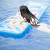 PVC Air Matress Swimming Pool Beach Inflatable Float Cushion Water